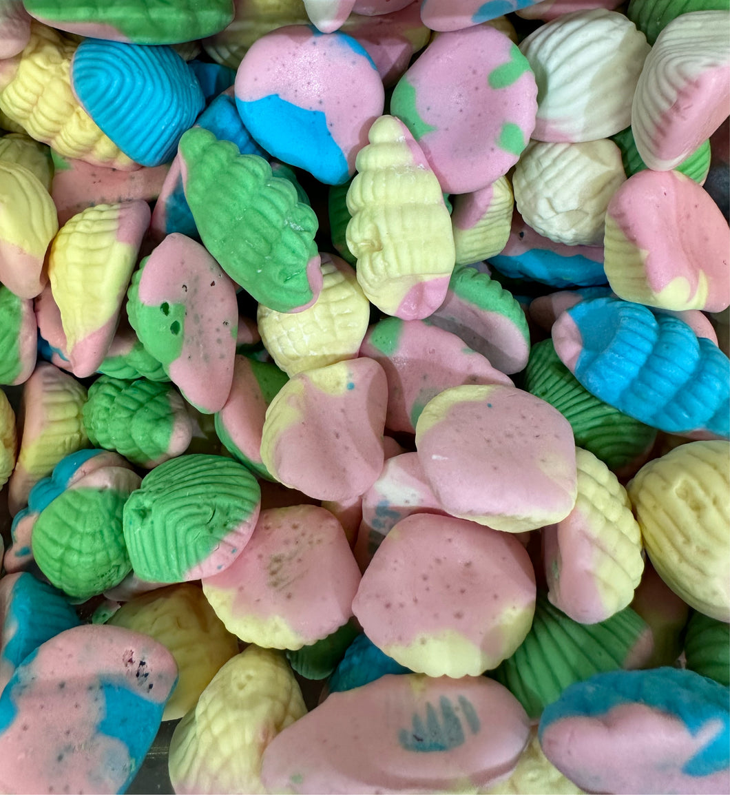 Conchiglia